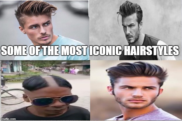 Satisfied Seal Meme | SOME OF THE MOST ICONIC HAIRSTYLES | image tagged in memes,satisfied seal | made w/ Imgflip meme maker