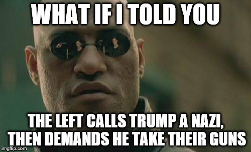 Matrix Morpheus Meme | WHAT IF I TOLD YOU; THE LEFT CALLS TRUMP A NAZI, THEN DEMANDS HE TAKE THEIR GUNS | image tagged in memes,matrix morpheus | made w/ Imgflip meme maker