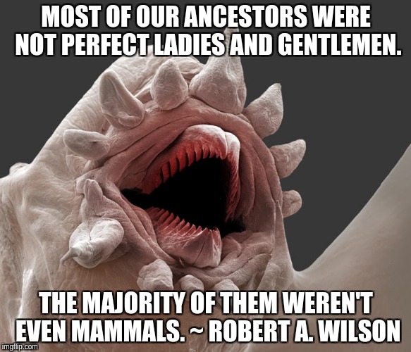 Ancesters were not always well behaved |  MOST OF OUR ANCESTORS WERE NOT PERFECT LADIES AND GENTLEMEN. THE MAJORITY OF THEM WEREN'T EVEN MAMMALS. ~ ROBERT A. WILSON | image tagged in laughs microscopically,ladies,gentleman,human | made w/ Imgflip meme maker