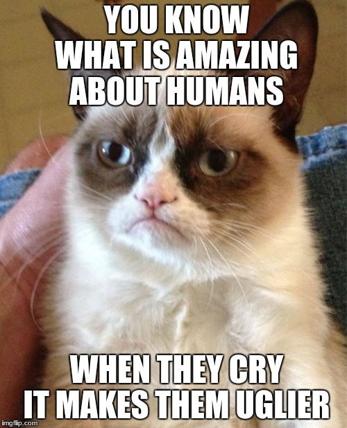 Grumpy Cat | YOU KNOW WHAT IS AMAZING ABOUT HUMANS; WHEN THEY CRY IT MAKES THEM UGLIER | image tagged in memes,grumpy cat | made w/ Imgflip meme maker