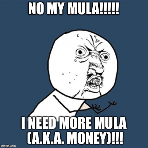 Y U No Meme | NO MY MULA!!!!! I NEED MORE MULA (A.K.A. MONEY)!!! | image tagged in memes,y u no | made w/ Imgflip meme maker