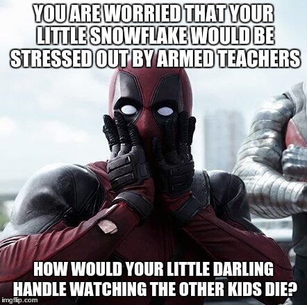Deadpool Surprised Meme | YOU ARE WORRIED THAT YOUR LITTLE SNOWFLAKE WOULD BE STRESSED OUT BY ARMED TEACHERS; HOW WOULD YOUR LITTLE DARLING HANDLE WATCHING THE OTHER KIDS DIE? | image tagged in memes,deadpool surprised | made w/ Imgflip meme maker