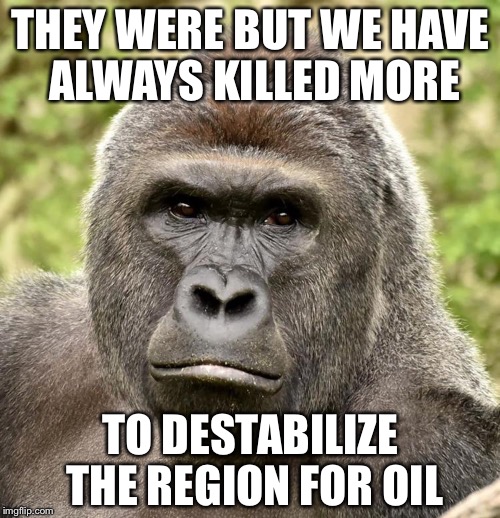 Har | THEY WERE BUT WE HAVE ALWAYS KILLED MORE TO DESTABILIZE THE REGION FOR OIL | image tagged in har | made w/ Imgflip meme maker