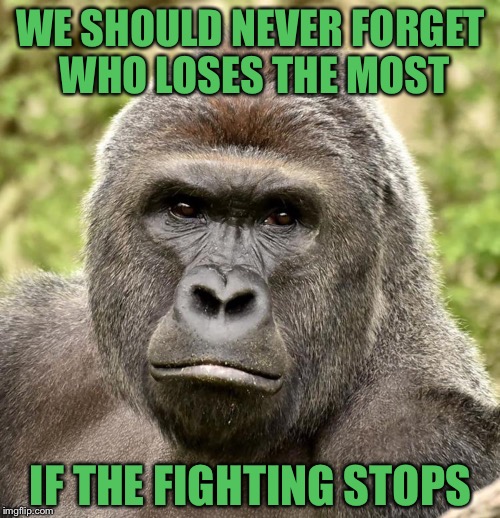 Har | WE SHOULD NEVER FORGET WHO LOSES THE MOST IF THE FIGHTING STOPS | image tagged in har | made w/ Imgflip meme maker