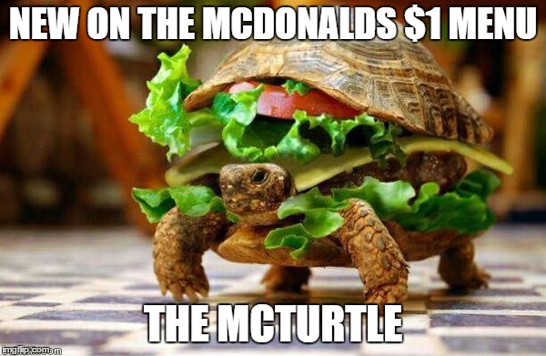Mcturtle | NEW ON THE MCDONALDS $1 MENU; THE MCTURTLE | image tagged in turtle burger,mcdonalds,funny memes | made w/ Imgflip meme maker