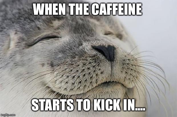 Satisfied Seal Meme | WHEN THE CAFFEINE; STARTS TO KICK IN.... | image tagged in memes,satisfied seal | made w/ Imgflip meme maker