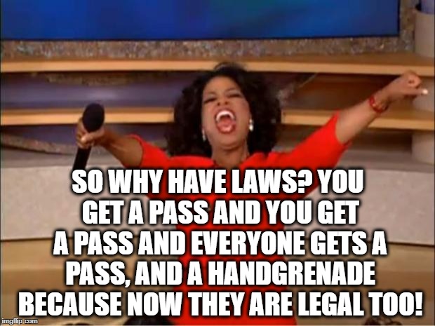 Oprah You Get A Meme | SO WHY HAVE LAWS? YOU GET A PASS AND YOU GET A PASS AND EVERYONE GETS A PASS, AND A HANDGRENADE BECAUSE NOW THEY ARE LEGAL TOO! | image tagged in memes,oprah you get a | made w/ Imgflip meme maker