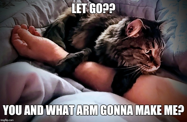 LET GO?? YOU AND WHAT ARM GONNA MAKE ME? | image tagged in youand what arm | made w/ Imgflip meme maker