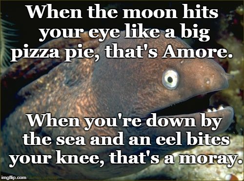 Bad Joke Eel | When the moon hits your eye like a big pizza pie, that's Amore. When you're down by the sea and an eel bites your knee, that's a moray. | image tagged in memes,bad joke eel,moray,that's amore | made w/ Imgflip meme maker