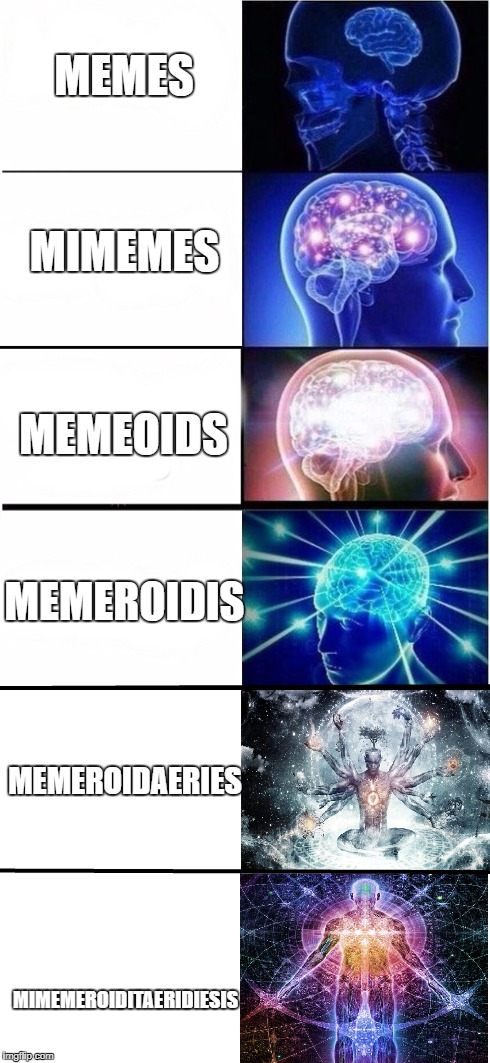 The proper names for memes | MEMES; MIMEMES; MEMEOIDS; MEMEROIDIS; MEMEROIDAERIES; MIMEMEROIDITAERIDIESIS | image tagged in memes,funny,expanding brain,smart | made w/ Imgflip meme maker