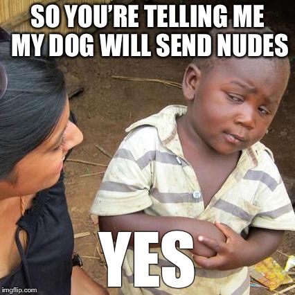 Third World Skeptical Kid Meme | SO YOU’RE TELLING ME MY DOG WILL SEND NUDES; YES | image tagged in memes,third world skeptical kid | made w/ Imgflip meme maker