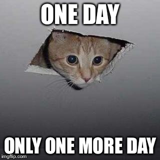 Ceiling Cat Meme | ONE DAY; ONLY ONE MORE DAY | image tagged in memes,ceiling cat | made w/ Imgflip meme maker