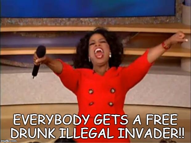 Oprah You Get A Meme | EVERYBODY GETS A FREE DRUNK ILLEGAL INVADER!! | image tagged in memes,oprah you get a | made w/ Imgflip meme maker