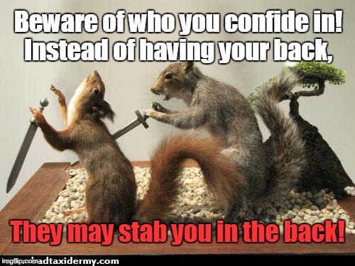 taxidermy squirrel backstab | Beware of who you confide in! Instead of having your back, They may stab you in the back! | image tagged in taxidermy squirrel backstab | made w/ Imgflip meme maker