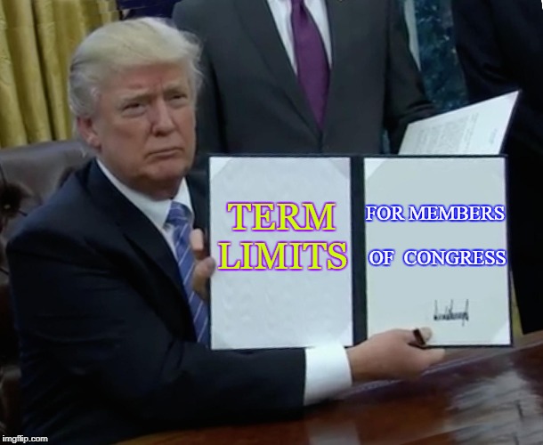 A Great Idea | FOR MEMBERS OF
 CONGRESS; TERM LIMITS | image tagged in memes,trump bill signing,be the president who dont give a shit,ronald reagan would,meme | made w/ Imgflip meme maker