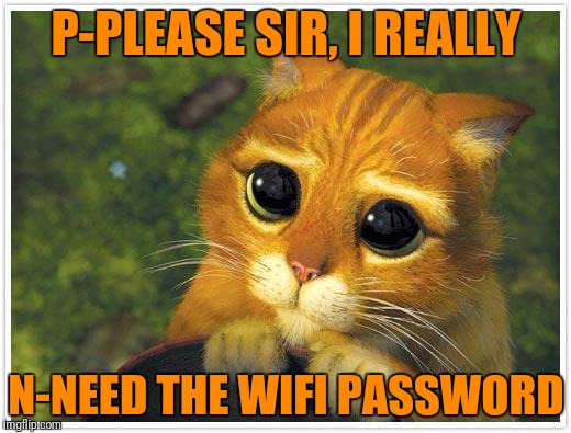 I-It's a Matter o-of Life and Death | P-PLEASE SIR, I REALLY; N-NEED THE WIFI PASSWORD | image tagged in memes,shrek cat,wifi,begging,cats | made w/ Imgflip meme maker