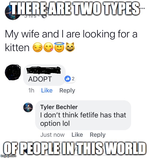 The innocent and the NSFW | THERE ARE TWO TYPES; OF PEOPLE IN THIS WORLD | image tagged in funny,two types of people,kittens | made w/ Imgflip meme maker