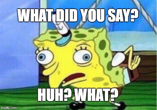 Mocking Spongebob Meme | WHAT DID YOU SAY? HUH? WHAT? | image tagged in memes,mocking spongebob | made w/ Imgflip meme maker