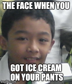 The face when you xxxxxx | THE FACE WHEN YOU; GOT ICE CREAM ON YOUR PANTS | image tagged in funny memes | made w/ Imgflip meme maker