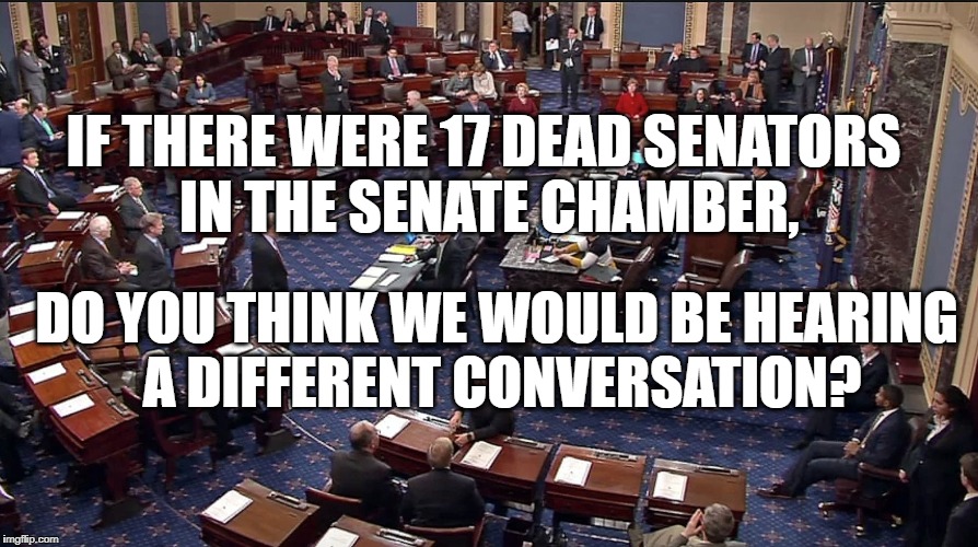17 Senators | IF THERE WERE 17 DEAD SENATORS IN THE SENATE CHAMBER, DO YOU THINK WE WOULD BE HEARING A DIFFERENT CONVERSATION? | image tagged in gun control | made w/ Imgflip meme maker