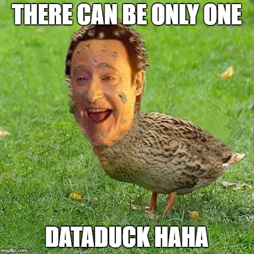 The Data Ducky | THERE CAN BE ONLY ONE DATADUCK HAHA | image tagged in the data ducky | made w/ Imgflip meme maker