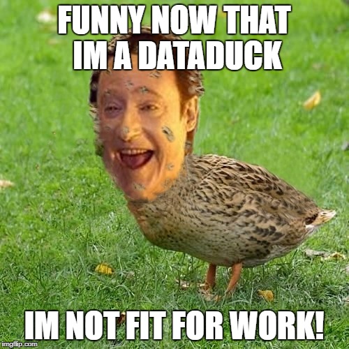 Vacation here I come | FUNNY NOW THAT IM A DATADUCK; IM NOT FIT FOR WORK! | image tagged in the data ducky,the licky lucky duck,star trek commander,enterprising,surprise meme,memes | made w/ Imgflip meme maker