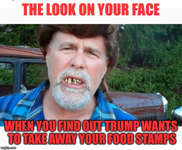Who wants a damn box of food | THE LOOK ON YOUR FACE; WHEN YOU FIND OUT TRUMP WANTS TO TAKE AWAY YOUR FOOD STAMPS | image tagged in food,trump,hillbilly | made w/ Imgflip meme maker