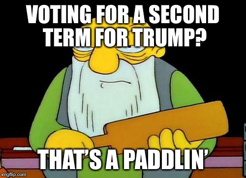 That's a paddlin' Meme | VOTING FOR A SECOND TERM FOR TRUMP? THAT’S A PADDLIN’ | image tagged in memes,that's a paddlin' | made w/ Imgflip meme maker