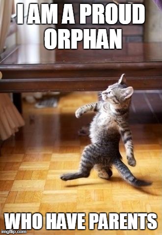 Cool Cat Stroll Meme | I AM A PROUD ORPHAN; WHO HAVE PARENTS | image tagged in memes,cool cat stroll | made w/ Imgflip meme maker