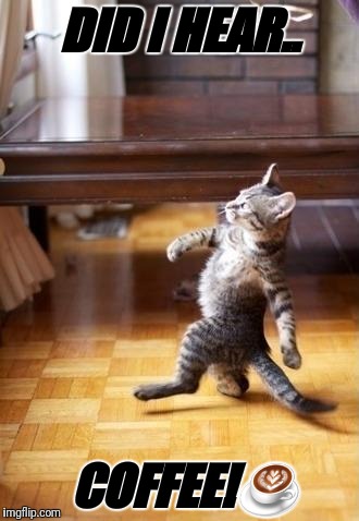 Cool Cat Stroll | DID I HEAR.. COFFEE!☕ | image tagged in memes,cool cat stroll | made w/ Imgflip meme maker