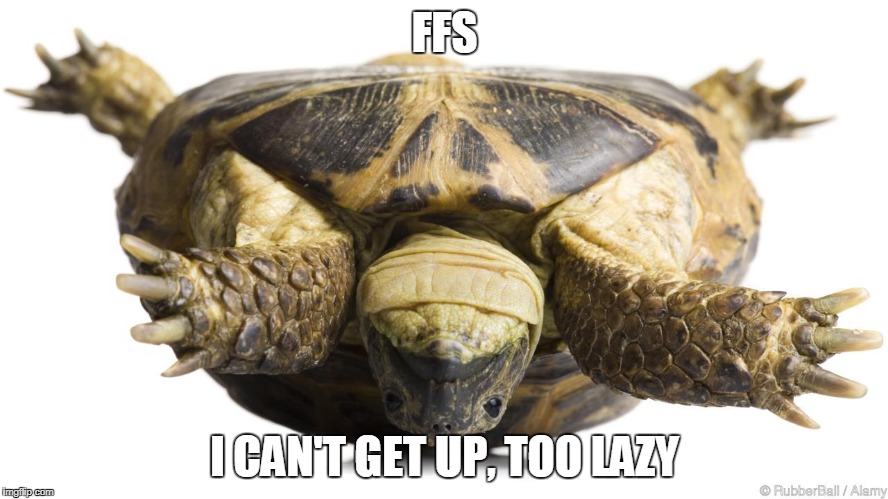 Ffs | FFS; I CAN'T GET UP, TOO LAZY | image tagged in lazy | made w/ Imgflip meme maker