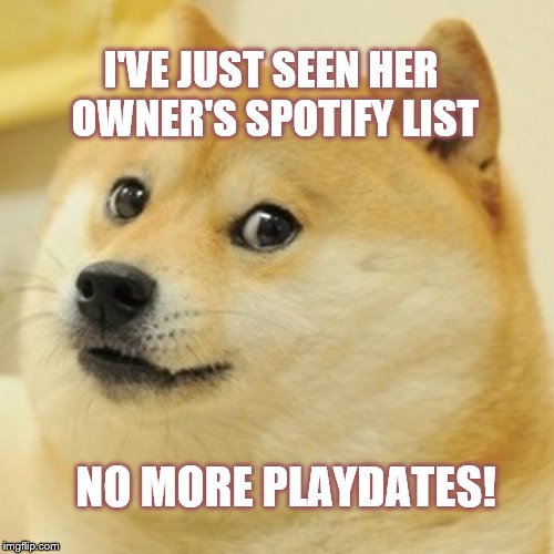 Doge Meme | I'VE JUST SEEN HER OWNER'S SPOTIFY LIST; NO MORE PLAYDATES! | image tagged in memes,doge | made w/ Imgflip meme maker