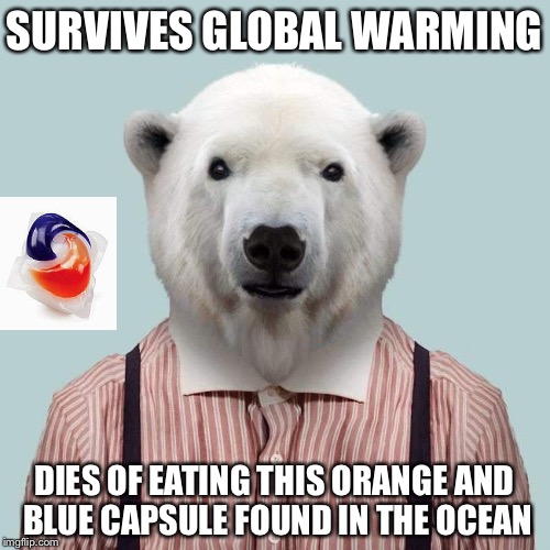 Then again, how would a tide pod make it to the North Pole without being eaten?(Search Bad luck PolaBear for this template) | SURVIVES GLOBAL WARMING; DIES OF EATING THIS ORANGE AND BLUE CAPSULE FOUND IN THE OCEAN | image tagged in bad luck polabear,meme,tide pod | made w/ Imgflip meme maker