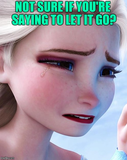 NOT SURE IF YOU'RE SAYING TO LET IT GO? | made w/ Imgflip meme maker