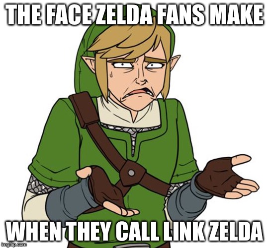 Confused Link Bigger Image | THE FACE ZELDA FANS MAKE; WHEN THEY CALL LINK ZELDA | image tagged in confused link bigger image | made w/ Imgflip meme maker