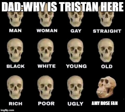 idiot skull | DAD:WHY IS TRISTAN HERE; AMY ROSE FAN | image tagged in idiot skull | made w/ Imgflip meme maker