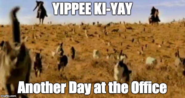 Herding Cates - Marketing Operations Humor | YIPPEE KI-YAY; Another Day at the Office | image tagged in cat herding cats | made w/ Imgflip meme maker