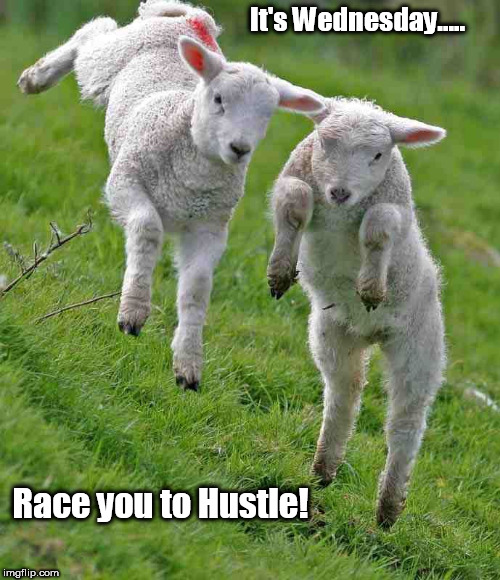 Springtime Hustle | It's Wednesday..... Race you to Hustle! | image tagged in dance,spring,hustle | made w/ Imgflip meme maker