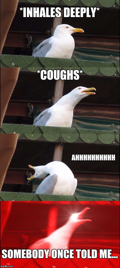 Inhaling Seagull Meme | *INHALES DEEPLY*; *COUGHS*; AHHHHHHHHHH; SOMEBODY ONCE TOLD ME... | image tagged in memes,inhaling seagull | made w/ Imgflip meme maker