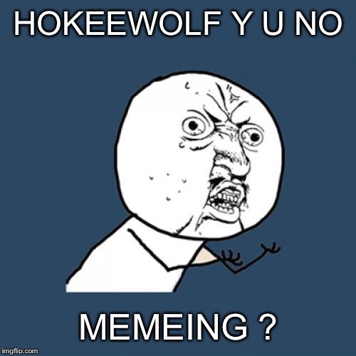 Y U No Meme | HOKEEWOLF Y U NO MEMEING ? | image tagged in memes,y u no | made w/ Imgflip meme maker