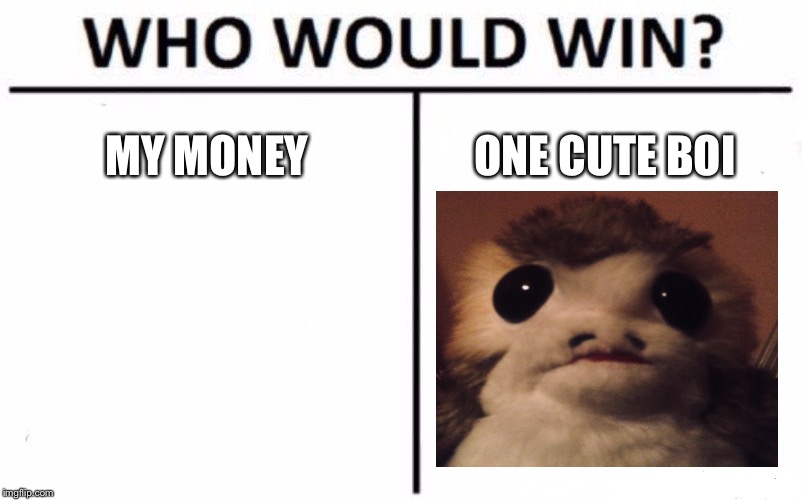 Who Would Win? | MY MONEY; ONE CUTE BOI | image tagged in memes,who would win | made w/ Imgflip meme maker
