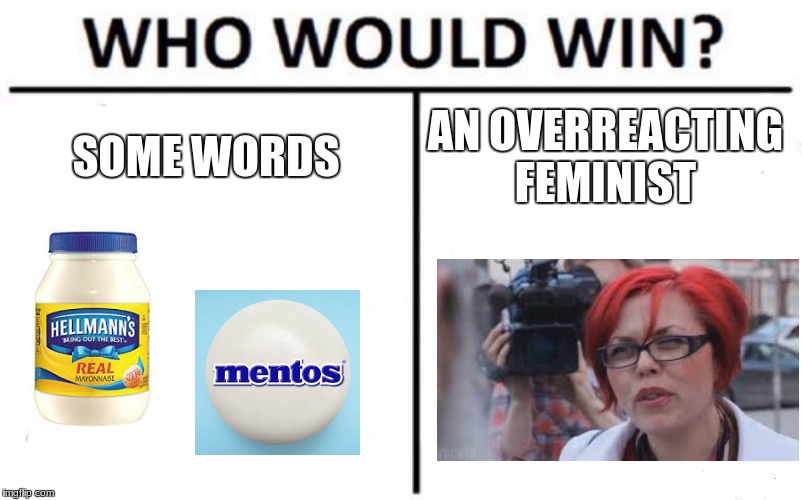 Who Would Win? | SOME WORDS; AN OVERREACTING FEMINIST | image tagged in memes,who would win | made w/ Imgflip meme maker