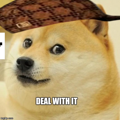 Doge Meme | DEAL WITH IT | image tagged in memes,doge,scumbag | made w/ Imgflip meme maker
