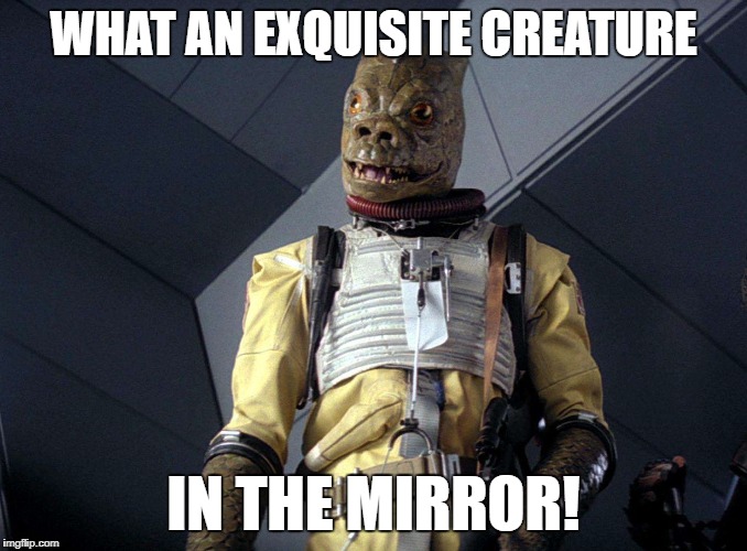 WHAT AN EXQUISITE CREATURE IN THE MIRROR! | made w/ Imgflip meme maker