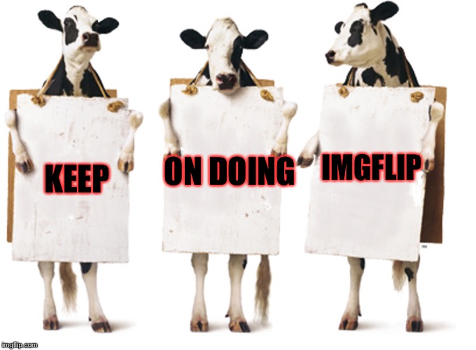 Chick-fil-A 3-cow billboard |  ON DOING; IMGFLIP; KEEP | image tagged in chick-fil-a 3-cow billboard,memes,meme,imgflip | made w/ Imgflip meme maker
