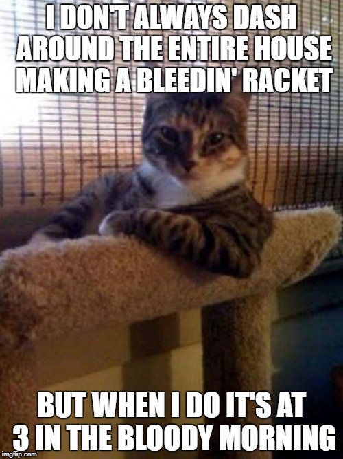 Meow... | I DON'T ALWAYS DASH AROUND THE ENTIRE HOUSE MAKING A BLEEDIN' RACKET; BUT WHEN I DO IT'S AT 3 IN THE BLOODY MORNING | image tagged in memes,the most interesting cat in the world | made w/ Imgflip meme maker