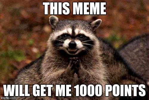 Evil Plotting Raccoon Meme | THIS MEME; WILL GET ME 1000 POINTS | image tagged in memes,evil plotting raccoon | made w/ Imgflip meme maker