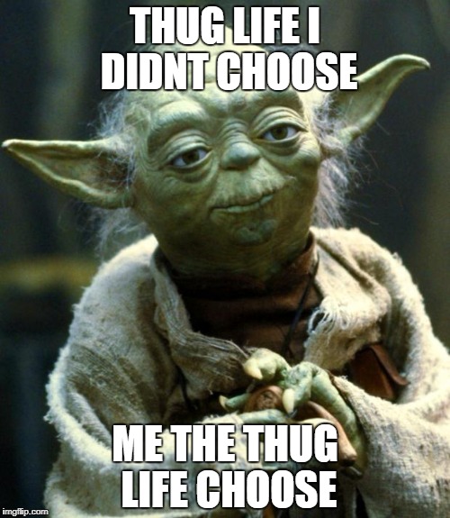 Star Wars Yoda Meme | THUG LIFE I DIDNT CHOOSE; ME THE THUG LIFE CHOOSE | image tagged in memes,star wars yoda | made w/ Imgflip meme maker