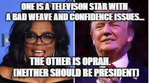 ONE IS A TELEVISON STAR WITH A BAD WEAVE AND CONFIDENCE ISSUES... THE OTHER IS OPRAH.       (NEITHER SHOULD BE PRESIDENT) | image tagged in donald trump,oprah | made w/ Imgflip meme maker