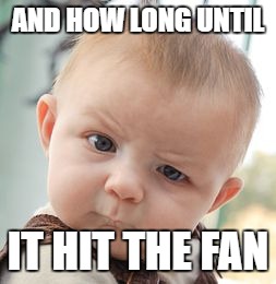 Skeptical Baby Meme | AND HOW LONG UNTIL IT HIT THE FAN | image tagged in memes,skeptical baby | made w/ Imgflip meme maker
